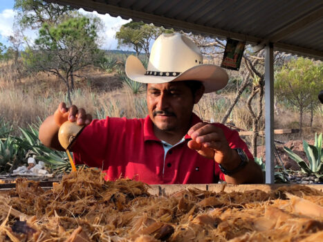 Angel Cruz Robles of Cuentacuentos