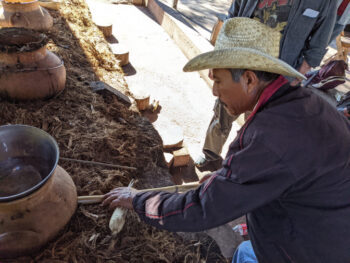 Miguel Cruz Rios of Cuentacuentos