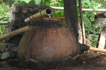 clay pot still at Don Amado's palenque