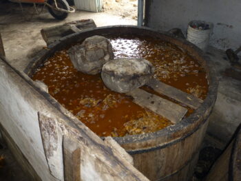 A rich fermentation at Don Valente Angél’s palenque, San Andrés