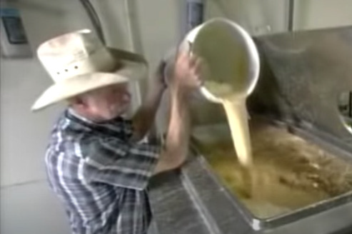 Adding yeast to boiled dried corn