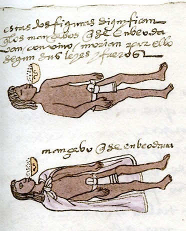 codex mendoza f71r