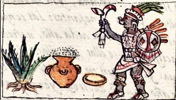 pulque god tezcatzoncatl a pt of pulque & an agave/codex florentinus 1.22