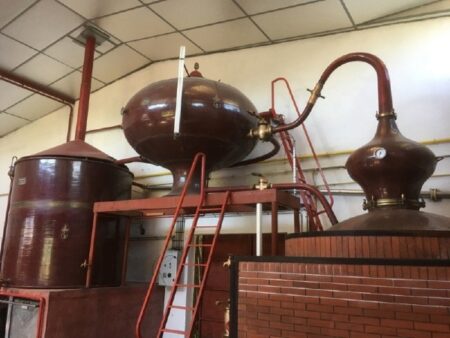 cognac still at Pierre de Segonzac