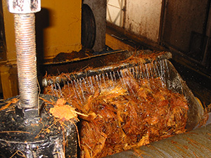 Tequila agave shredder adding water