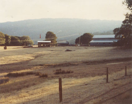 The distillery in 1982. The building to the right is the ranch barn.